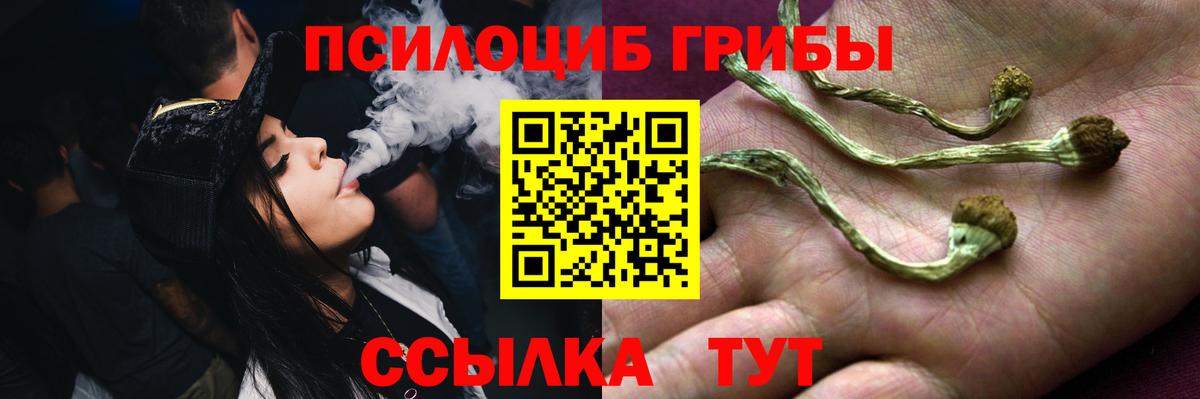 Псилоцибиновые грибы прущие грибы  Вход с VPN  Брянск 